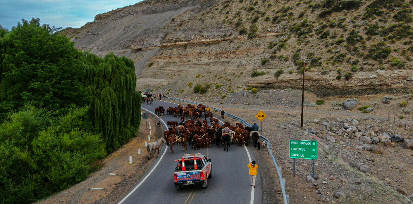 Seguridad Vial Despliega M Viles En Las Rutas Neuquinas Durante El Fin