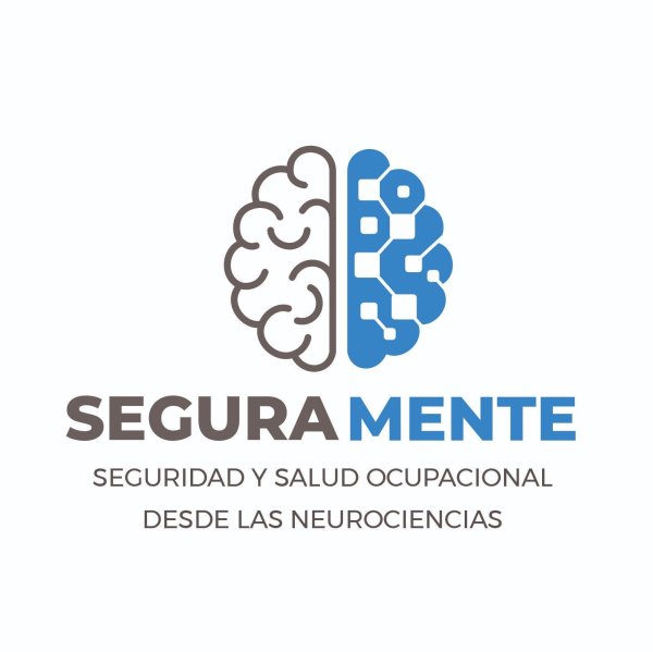 SEGURAMENTE HISE SRL