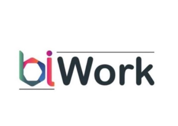 BIWORK SOFTWARE