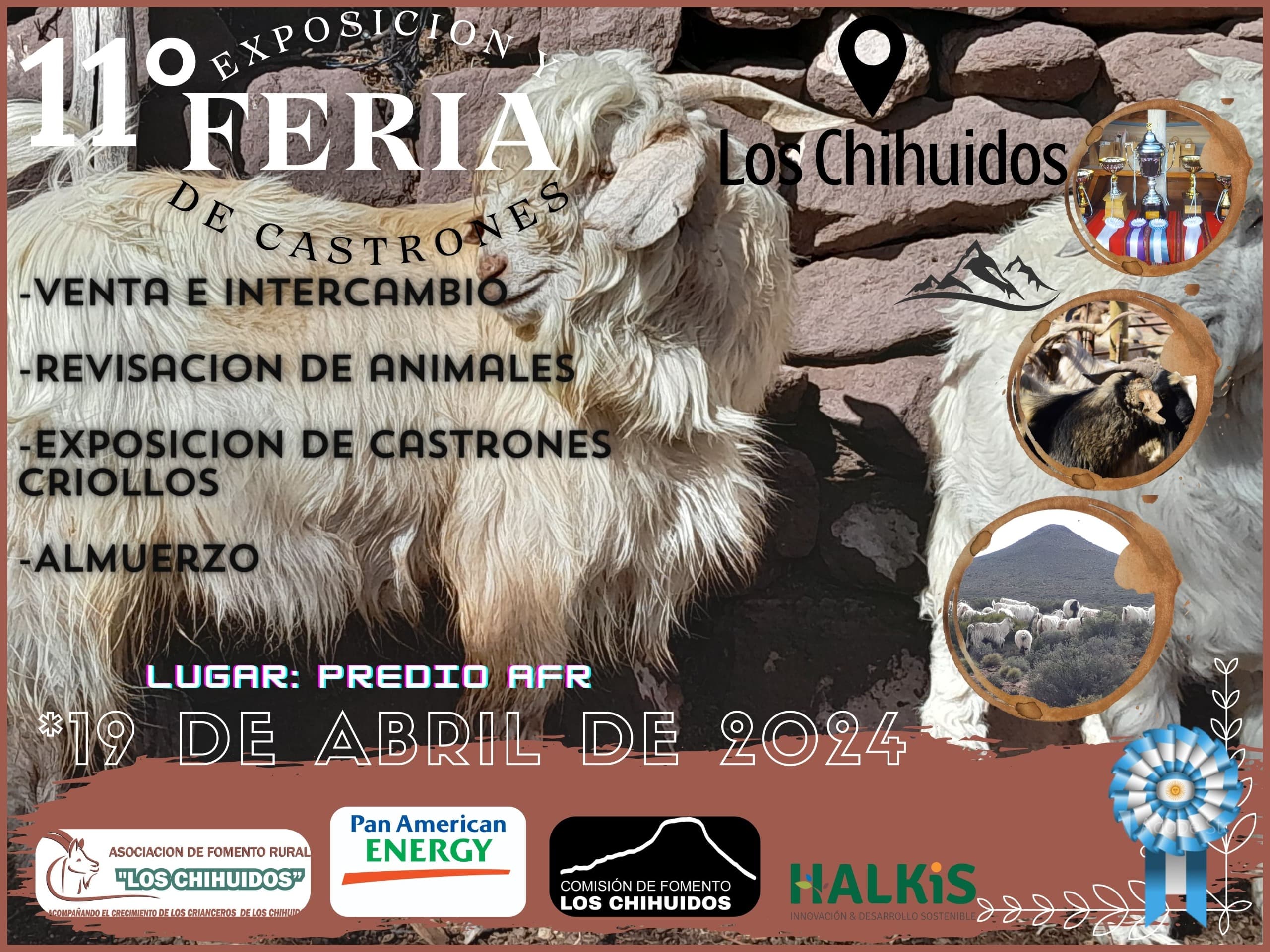 Llega a Los Chihuidos la 11° Exposición Feria de Castrones  thumbnail
