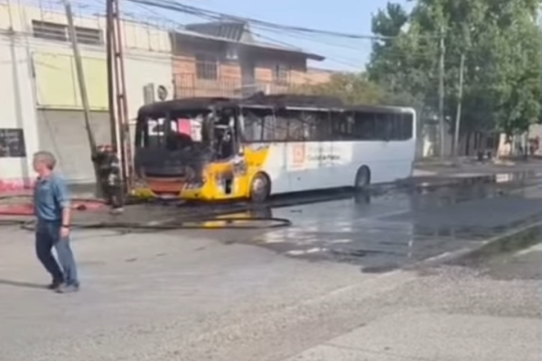 Se incendió un colectivo urbano en Plottier