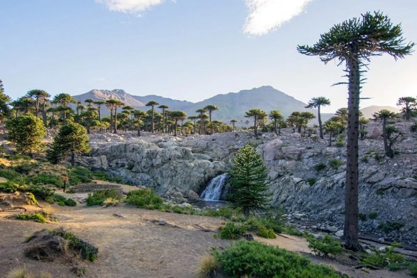 Los centros de esquí se preparan para la temporada de invierno