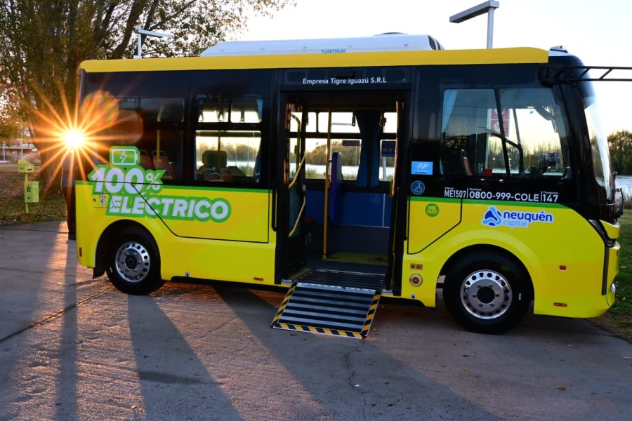Colectivos eléctricos.