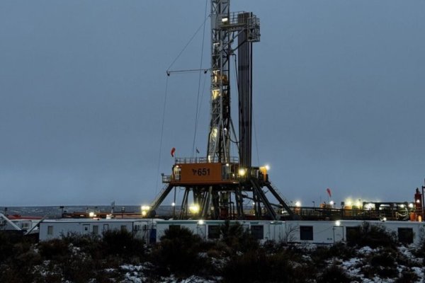 Con un proyecto de U$S 12.000 millones, Pluspetrol apunta a 100 mil barriles diarios